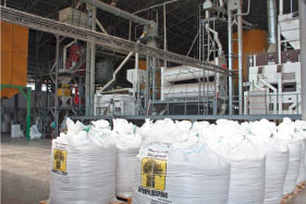 Продукція та обладнання насіннєвого заводу