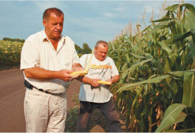 Іван ГЛЯНЬ і Анатолій АВДОНІН інспектують посіви кукурудзи